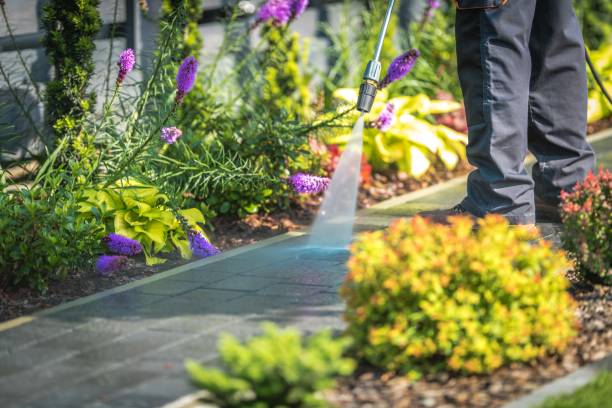 Best Gutter Cleaning and Brightening in Country Clu, CA